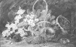 Still Life With Spring Flowers And A Bird's Nest by Vincent Clare