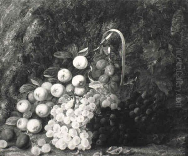 Still Life With Apples, Plums And Grapes - view 1