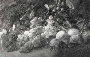 Still Life Of Currants, Strawberries And Gooseberries by Vincent Clare