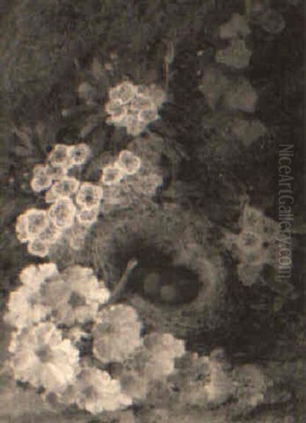 Still Life With Bird's Nest And Blossom - view 1