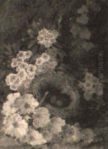 Still Life With Bird's Nest And Blossom