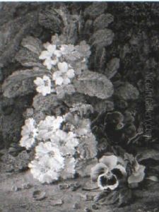 Still Life Of Pansies, Blossom And Primroses by Vincent Clare