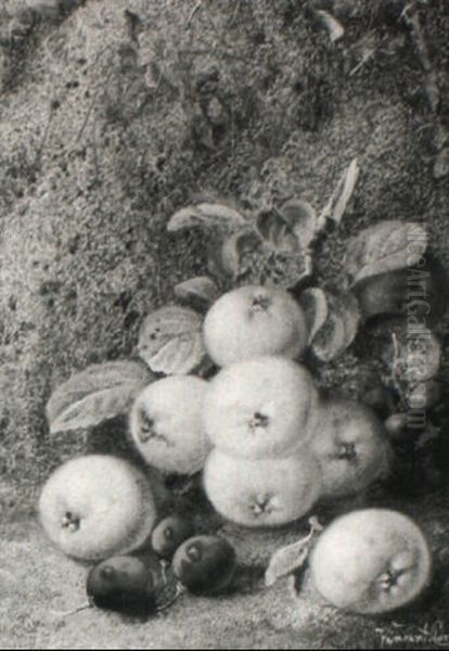 Still Life With Apples And Grapes On A Mossy Bank - view 1