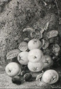 Still Life With Apples And Grapes On A Mossy Bank by Vincent Clare