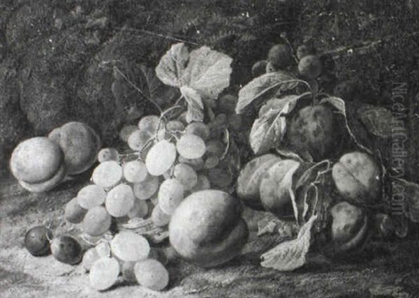 Still Life Of Plums And Grapes - view 1