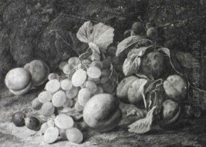 Still Life Of Plums And Grapes Still Life Of Plums And Grapes