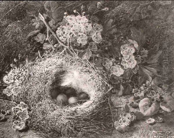 Still Life Of Birds Nest And Blossom - view 1