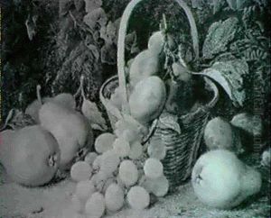 Still Life Of Grapes, Peaches And Plums On A Mossy Bank
