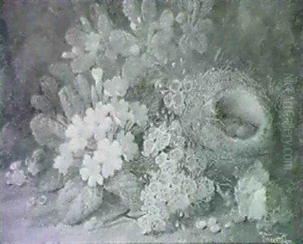 A Spring Bank;                                              Fruits Of Summer - view 1