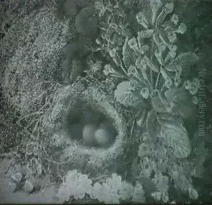 Still Life With Grapes;                                     Still Life With Bird's Eggs