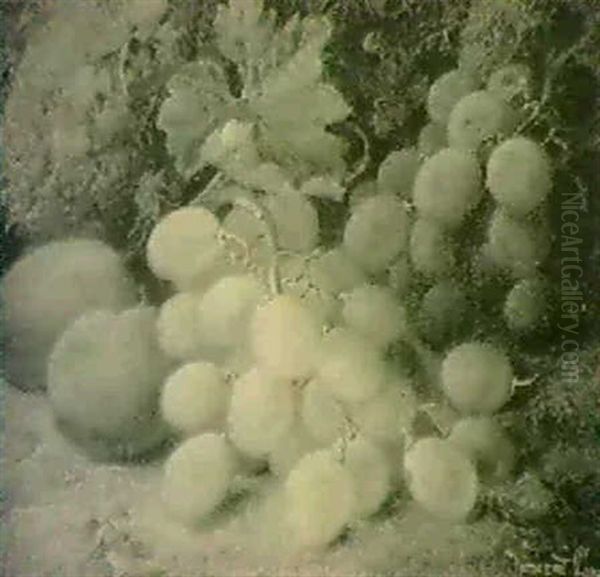 Still Life Of Plums And Grapes On A Bank - view 1