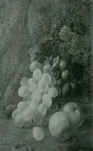 Still Life Of Grapes And Apples by Vincent Clare
