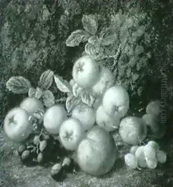 Botanical Still Lifes - view 1