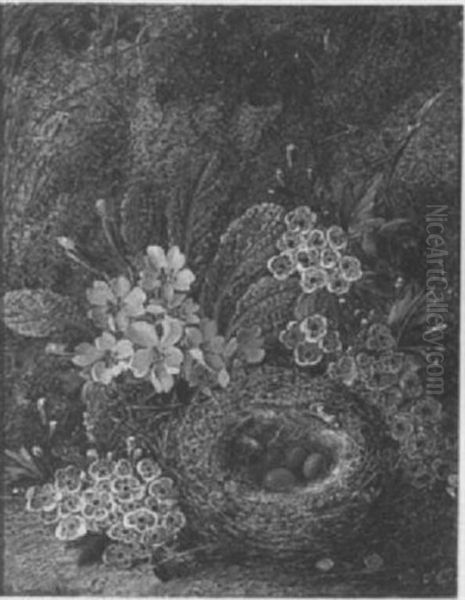 Still Life Of Blossom, Primroses And A Bird's Nest - view 1