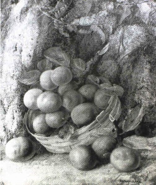 Still Life Of Plums In A Basket - view 1