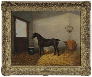 A Dark Bay Horse In A Loose Box