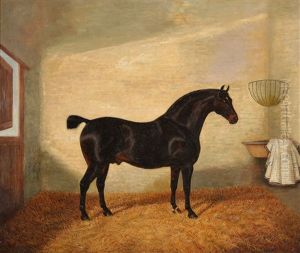 A Bay Hunter In A Stable; A Dark Bay Hunter In A Stable