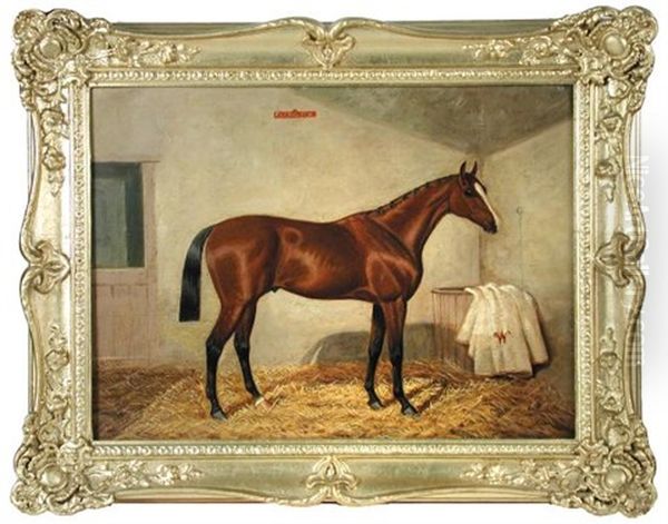 The Racehorse "flying Fox", With The Duke Of Westminster's Rug Beside Him In The Manger - view 1