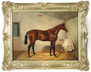 The Racehorse "flying Fox", With The Duke Of Westminster's Rug Beside Him In The Manger