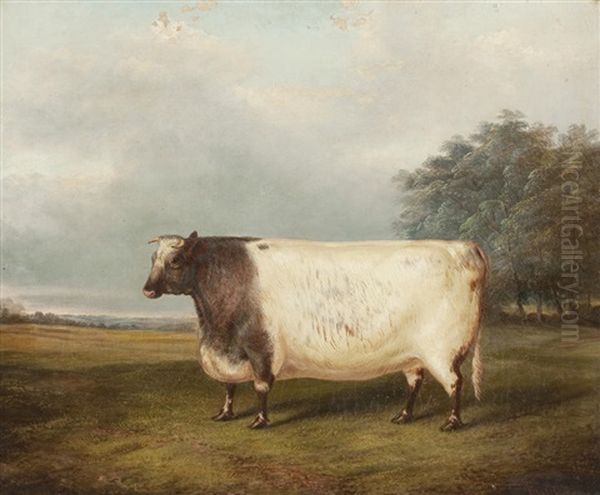 Bull In A Landscape - view 1