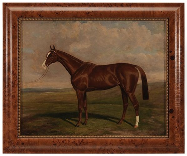 The Thoroughbred And Sire "blair Athol" In A Landscape - view 1