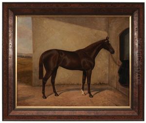 The Thoroughbred Racehorse "pretty Polly", In A Stable Yard