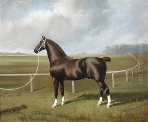 Eden Rock - A Dark Bay Trotting Horse Beside A Racecourse
