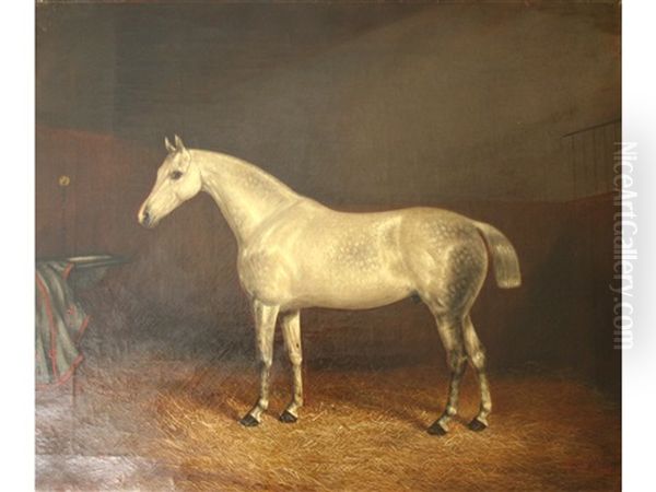 A Grey Horse In A Loose Box (pair) - view 1