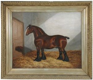 Portrait Of A Dark Bay Shire In A Stable