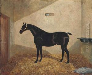 A Chestnut Hunter In A Stable