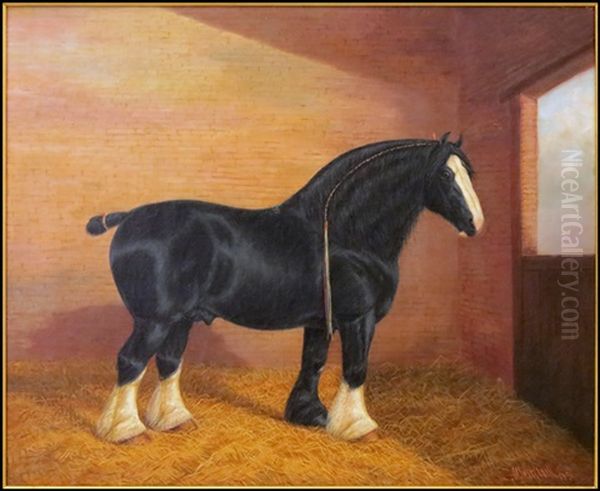 Shire Horse In Stable - view 1
