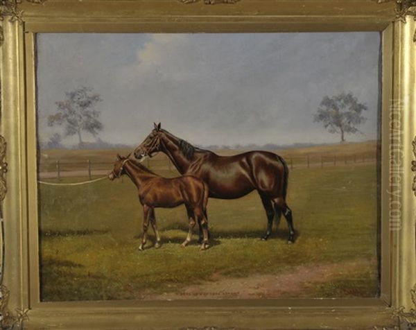 Wheel Of Fortune And Colt - Stute Und Fohlen Werden Auf Der Koppel Prasentiert - view 1