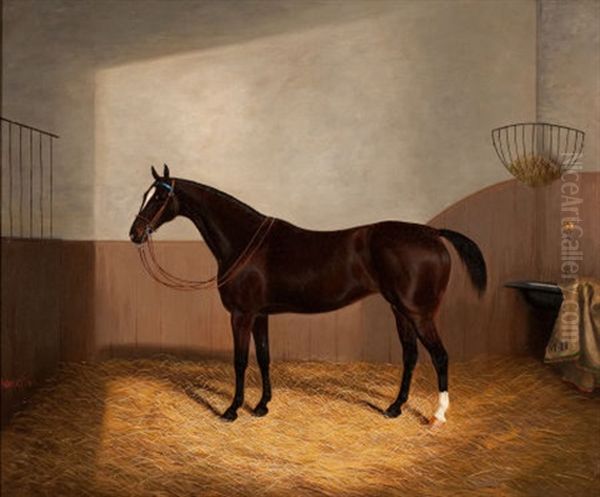 Race Horse - view 1