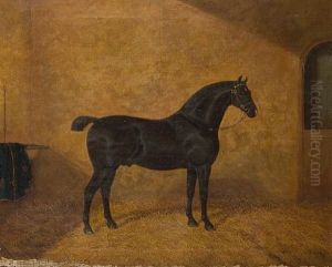 Norfolk Trotters Alethorpe Surprise (+ 2 Others; 3 Works)