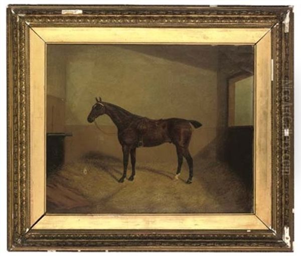 A Bay Hunter In A Stable - view 1