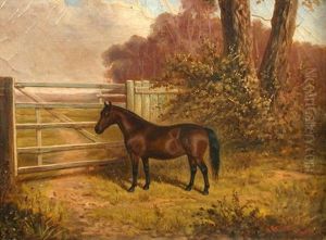 A Dark Bay Shetland Pony By A Field Gate