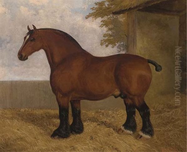 The Shire Stallion - view 1