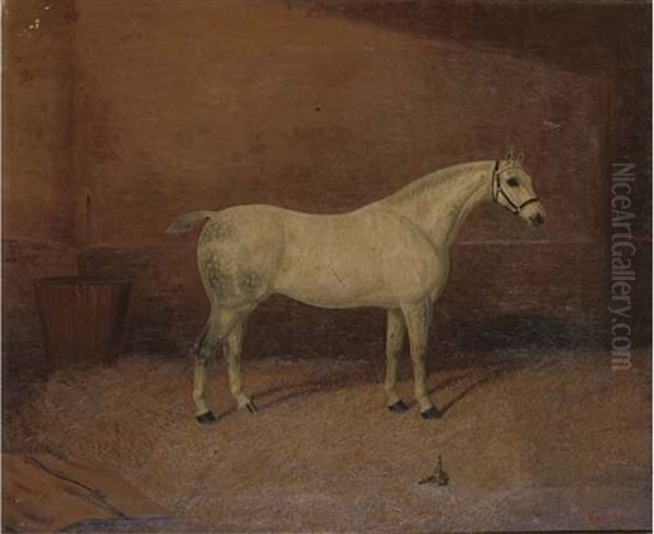 A Dappled Grey Hunter In A Stable - view 1