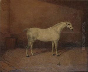 A Dappled Grey Hunter In A Stable A Dappled Grey Hunter In A Stable