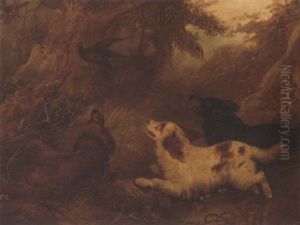 Spaniels Flushing Out A Pheasant by Albert Clark