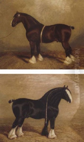 "bury Victor Chief" A Heavy Horse - view 1