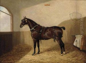 "goodboy", A Harnessed Liver Chestnut In A Stable