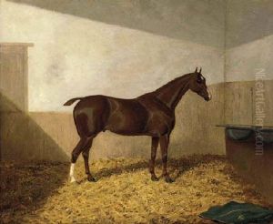 A Dark Brown Hunter In A Stable A Dark Brown Hunter In A Stable