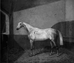 The Venerable "bede", In His Stable The Venerable "bede", In His Stable