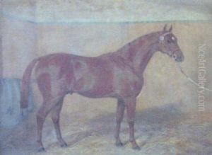 Chestnut Mare In A Stable Chestnut Mare In A Stable