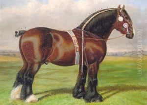Champion Heavy Horse