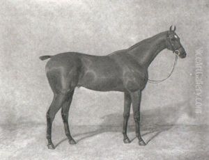 Bay Hunters In A Stable by Albert Clark