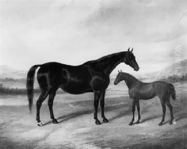 Dark Bay Mare With A Foal In A Landscape - view 1