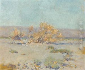 Desert Willows