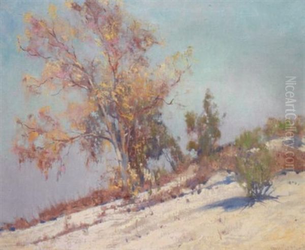 Early Morning, Palm Springs - view 1